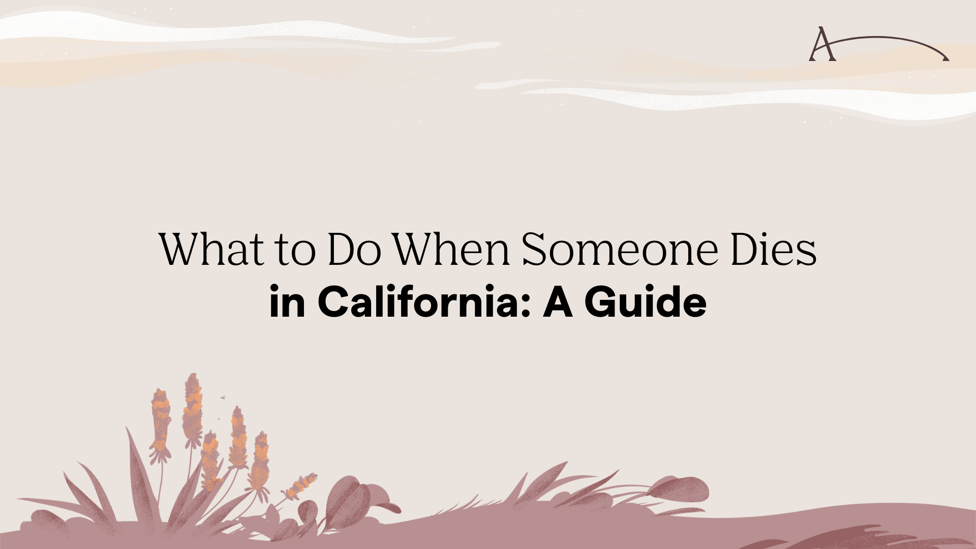 What to Do When Someone Dies in California: 2026 Guide