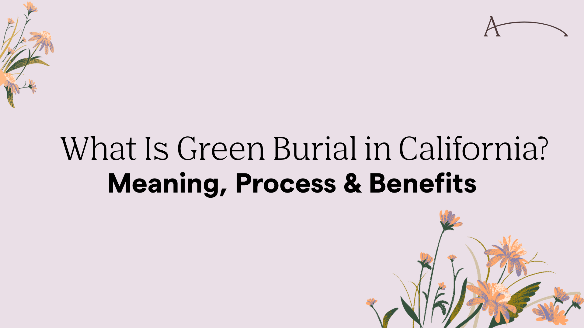 What Is Green Burial in California? Meaning, Process & Benefits