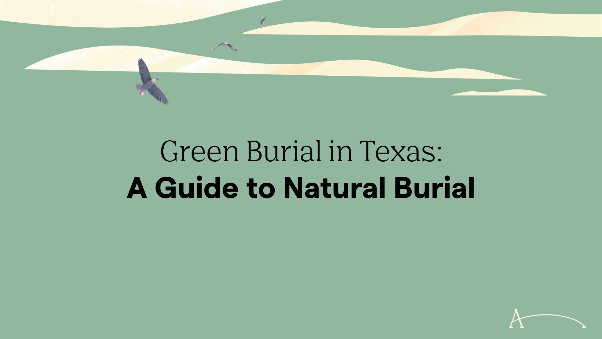Green Burial in Texas: A 2026 Guide to Natural Burial