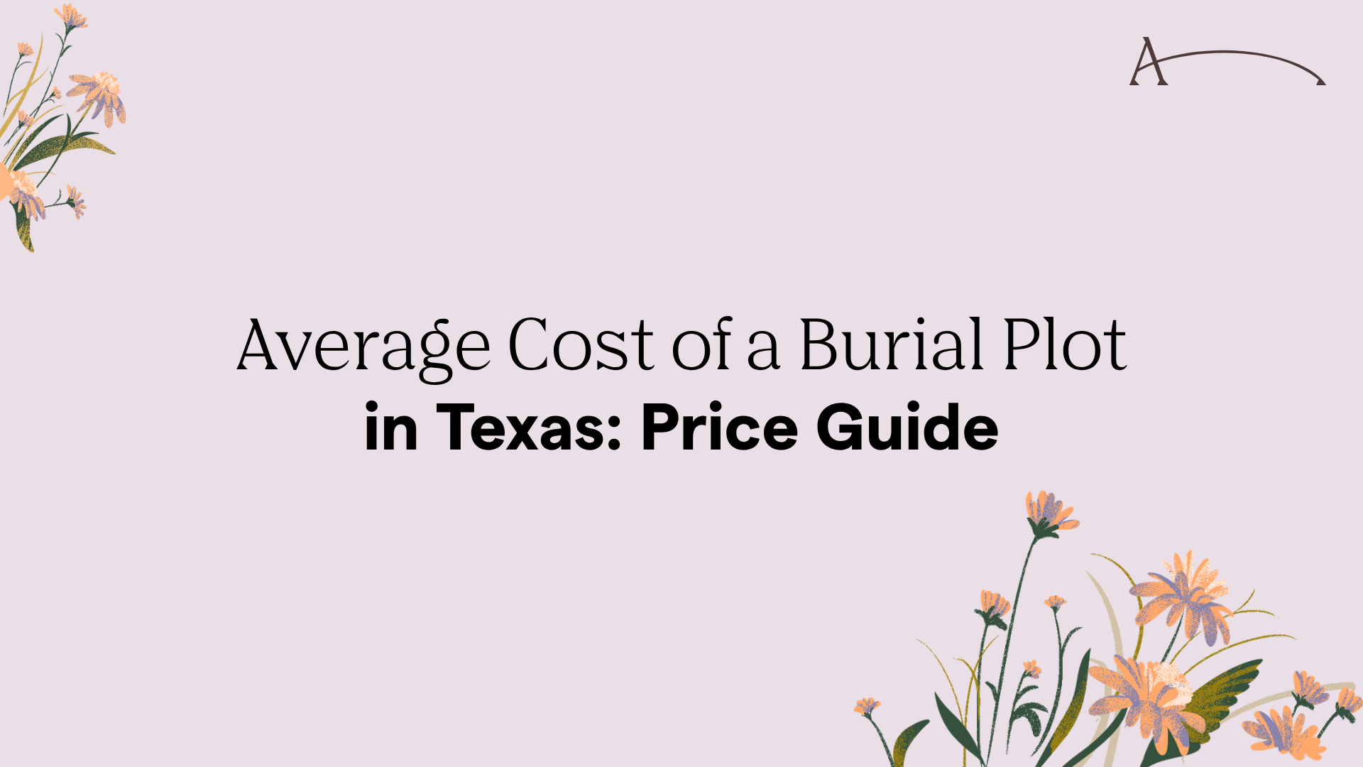 Average Cost of a Burial Plot in Texas: 2026 Price Guide
