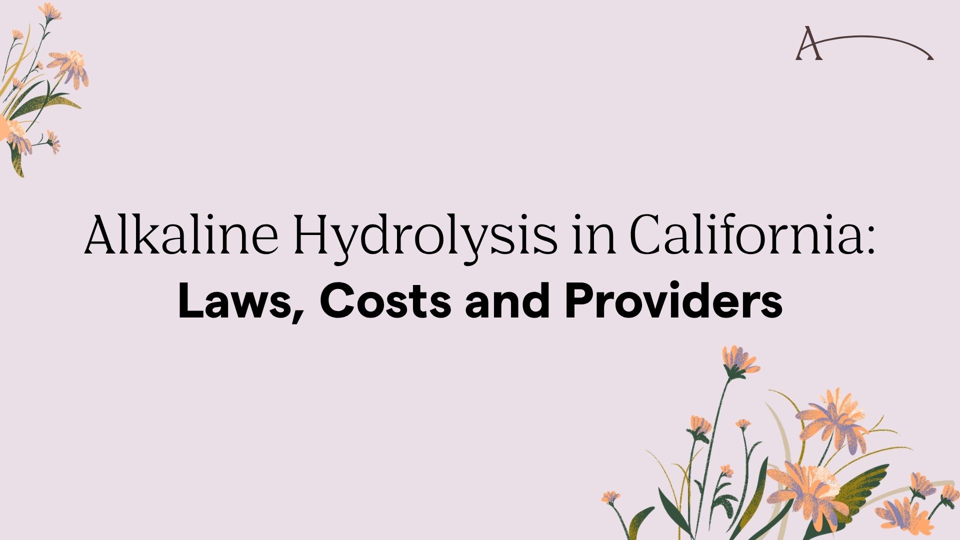 Alkaline Hydrolysis in California: Laws, Costs and Providers