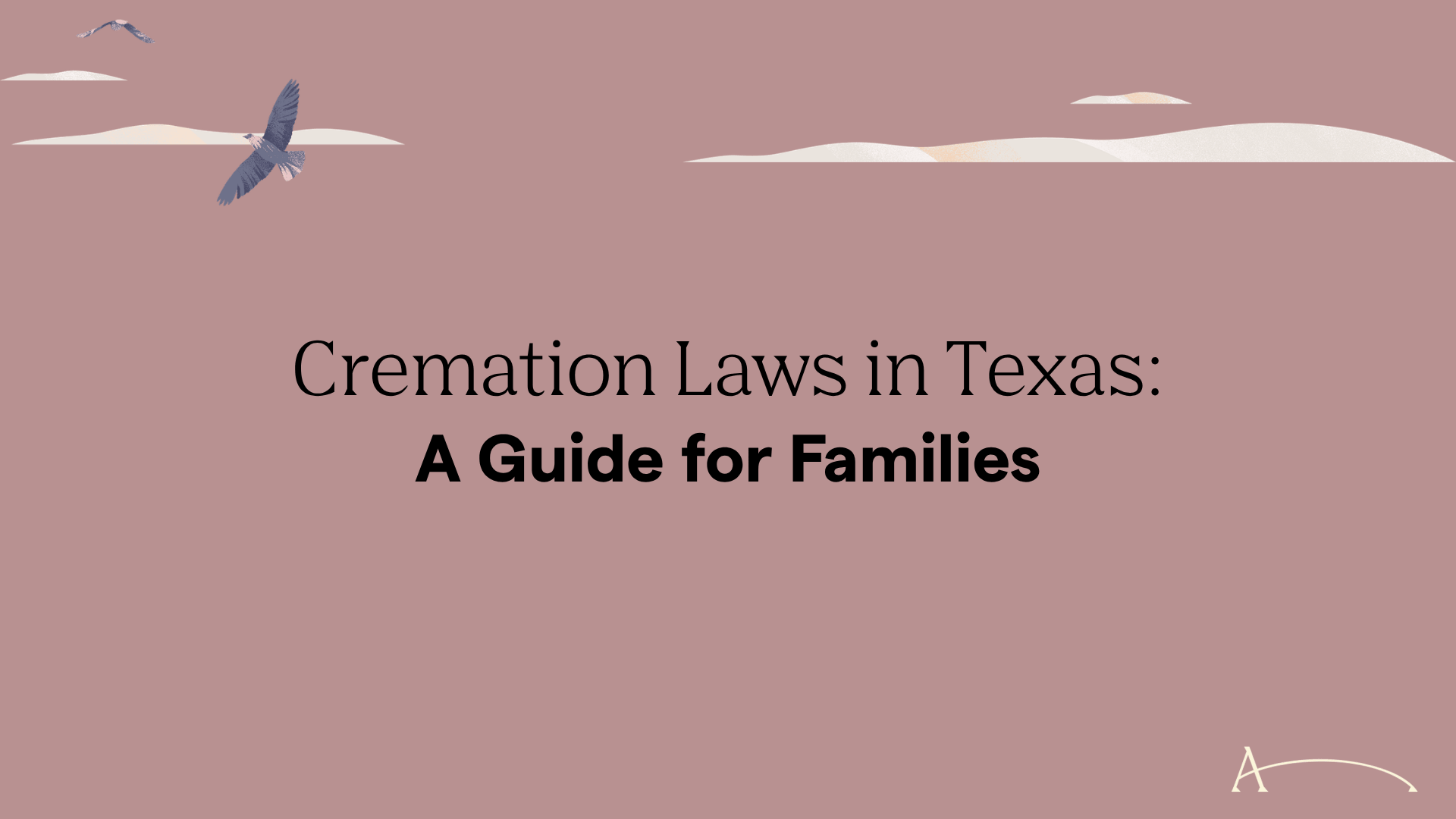 Cremation Laws in Texas: A 2026 Guide for Families