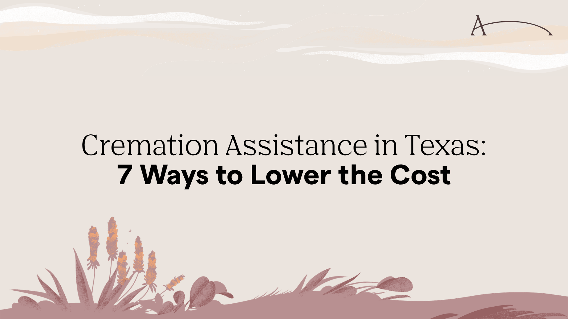 Cremation Assistance in Texas: 7 Ways to Lower the Cost