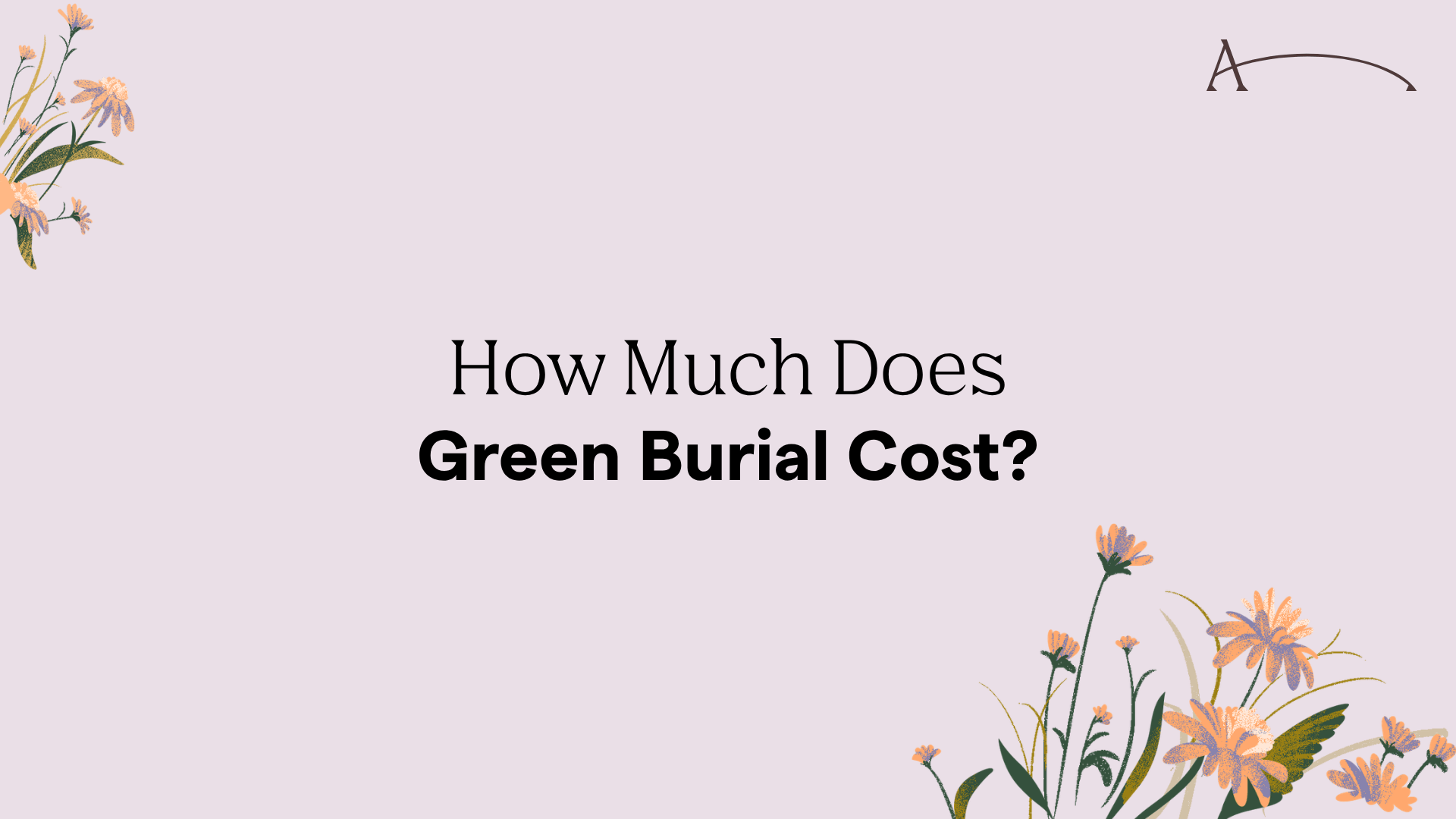 How Much Does Green Burial Cost? (2026 Guide)