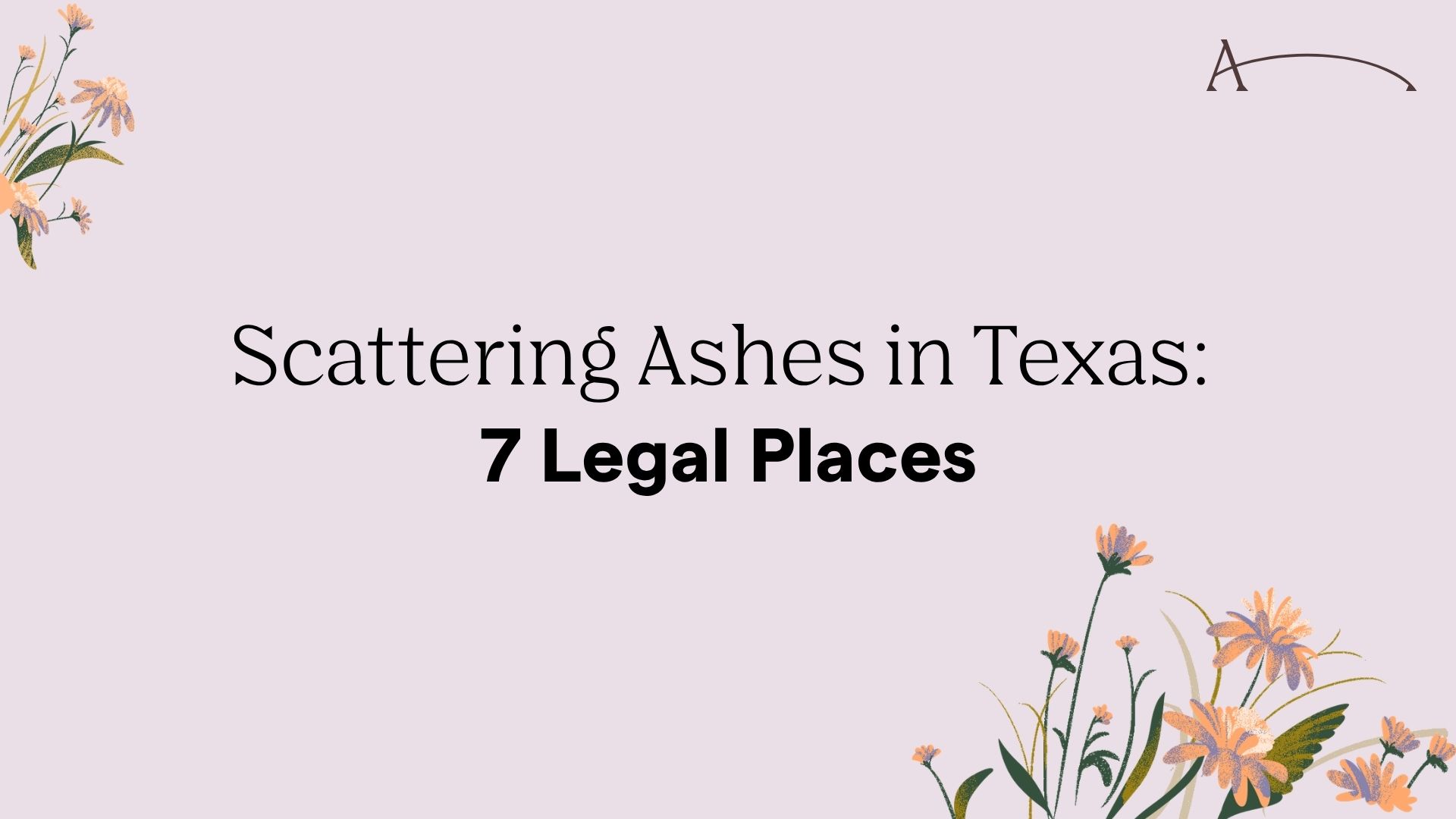 Scattering Ashes in Texas: 7 Legal Places (2026 Guide)