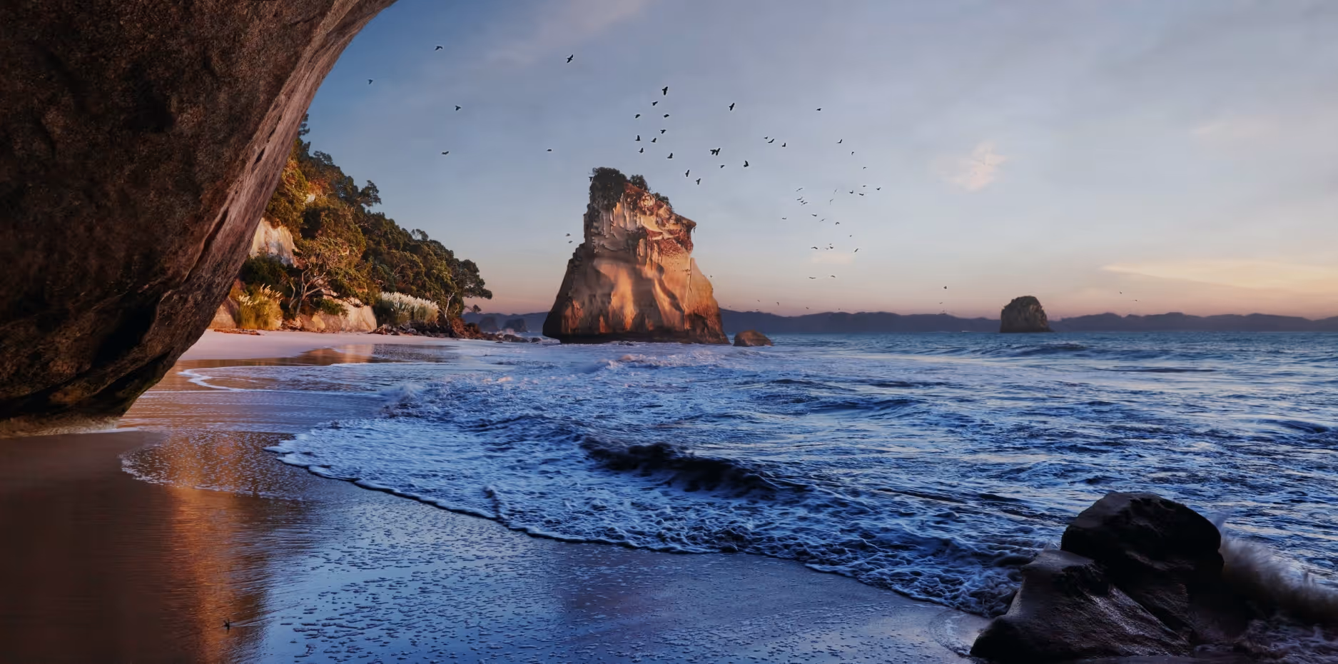 New Zealand ocean, shoreline and birds at Cathedral Cove
