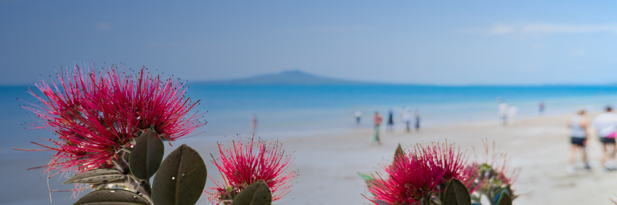 Managing closedown periods under the Holidays Act – a guide for employers