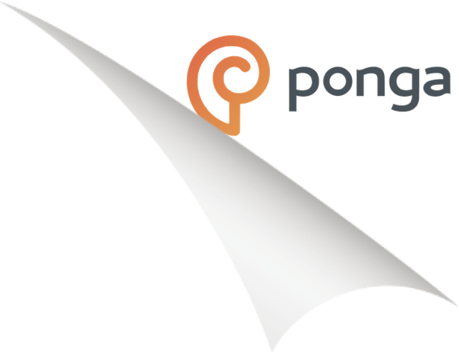 Originally published by Ponga, Inc. All rights reserved.