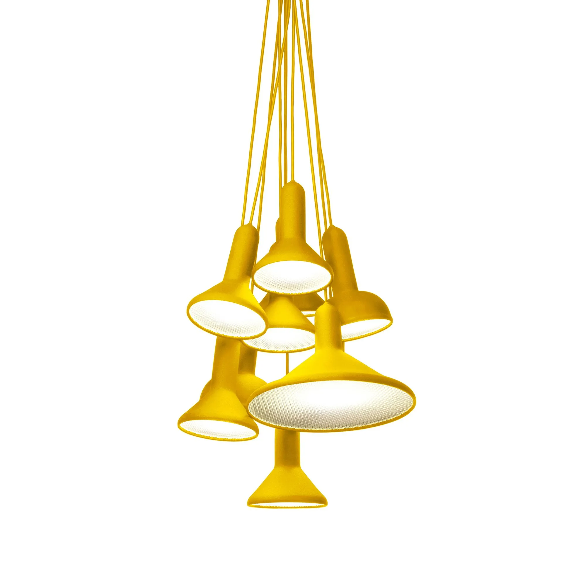 Torch Light - S10