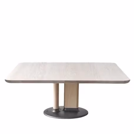 Stam Coffee Table