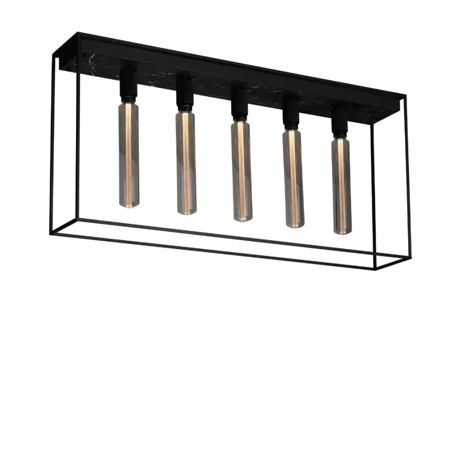 Caged Ceiling 5.0