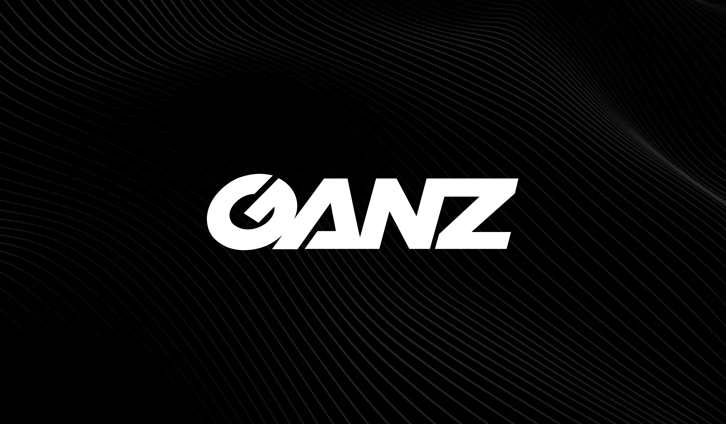 Support Center — Ganz Security