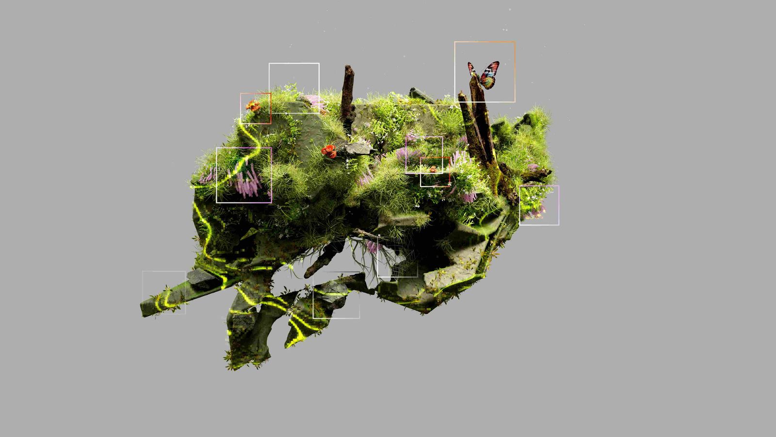 Discover our Wild Workshops