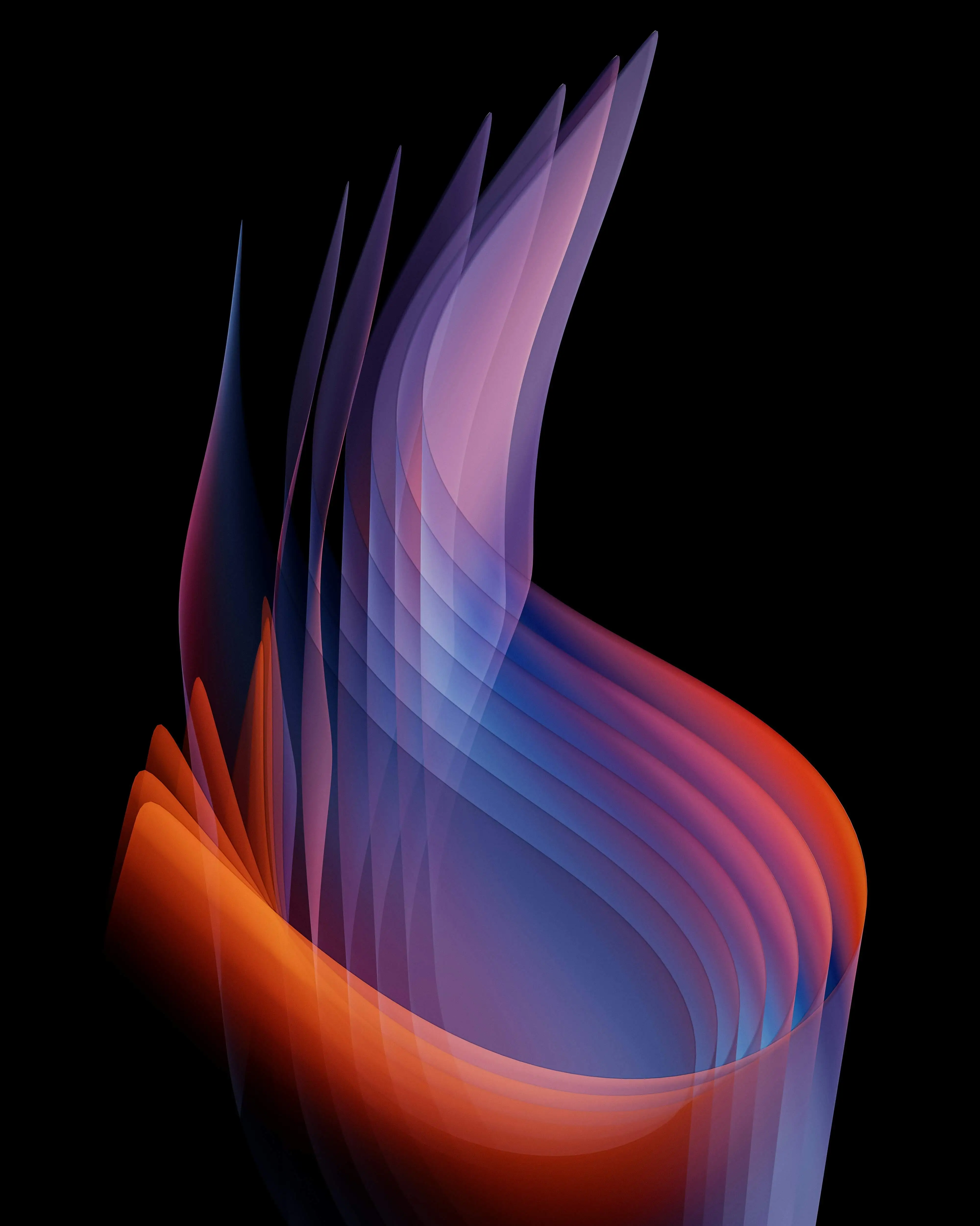 What are my salaries?