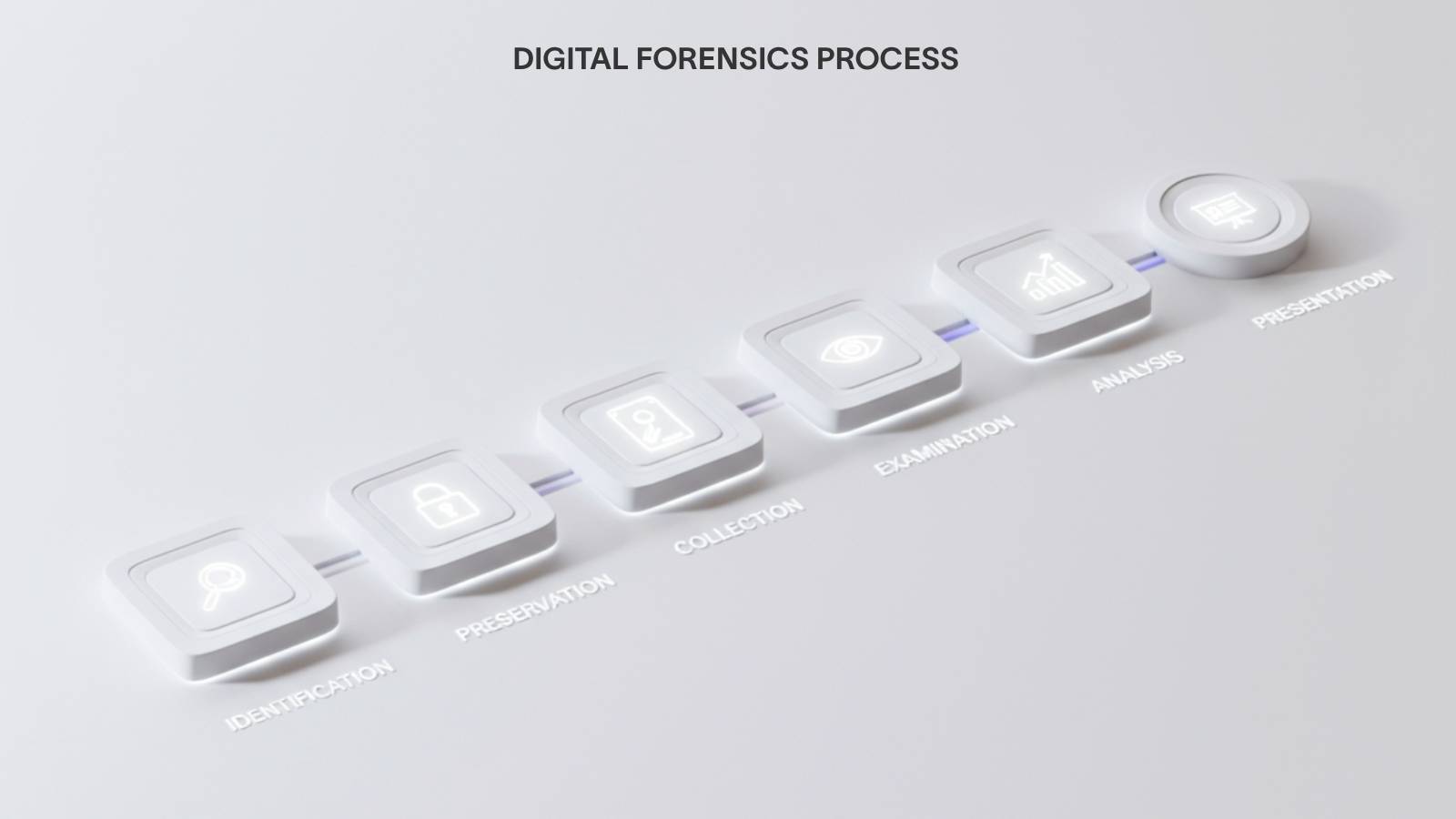 Digital forensics process infographic showing six sequential steps: Identification, Preservation, Collection, Examination, Analysis, and Presentation illustrated as 3D interactive cards with icons