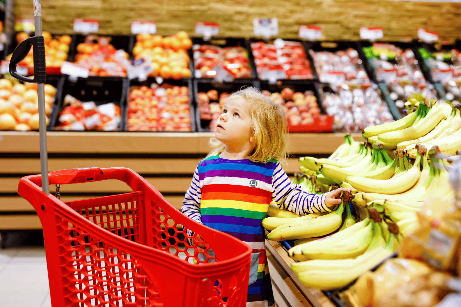 Onze omgeving = onze gezondheid