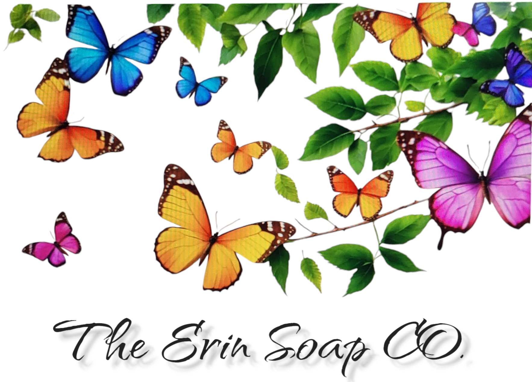 The Erin Soap CO