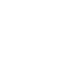 White Icon of a church