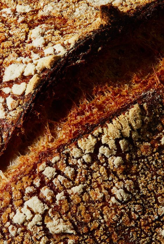 bread
