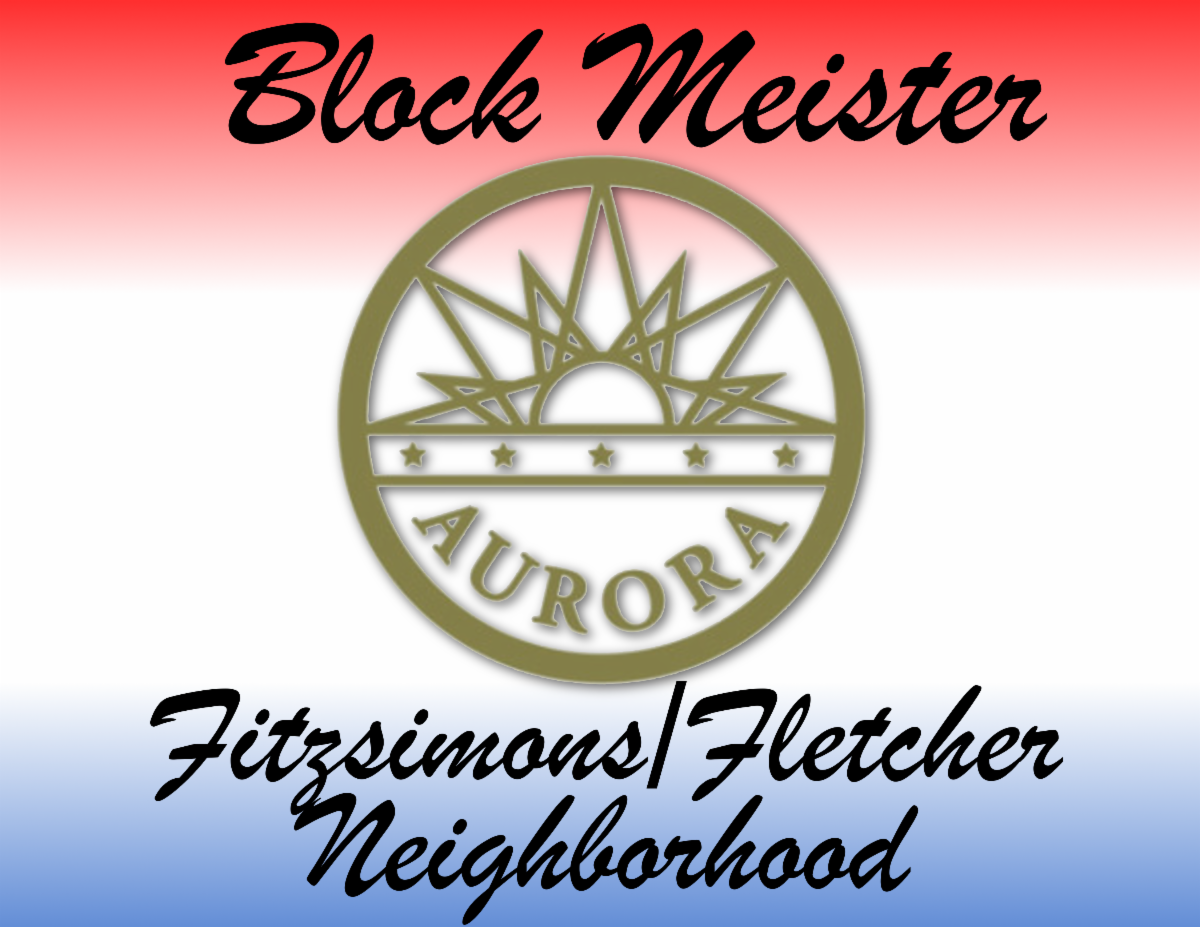 Block Meister Logo