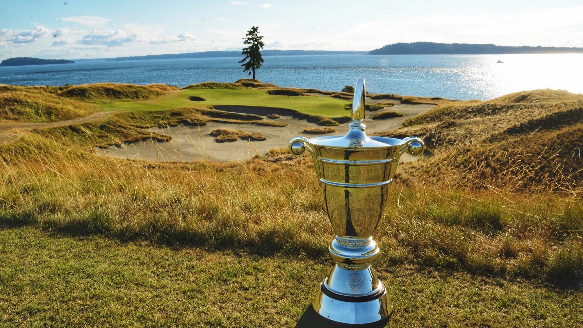 Links-style dunes at Chambers Bay golf course