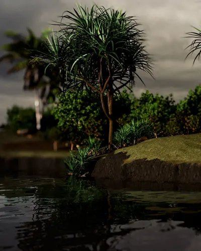 Small tree with long, narrow leaves growing on a grassy edge beside calm water under a cloudy sky.