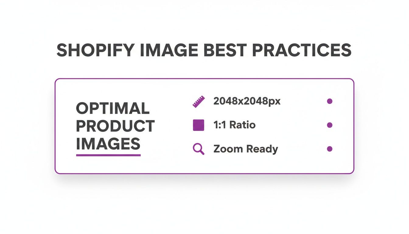 Shopify image best practices for optimal product images, detailing 2048x2048px, 1:1 ratio, and zoom readiness.