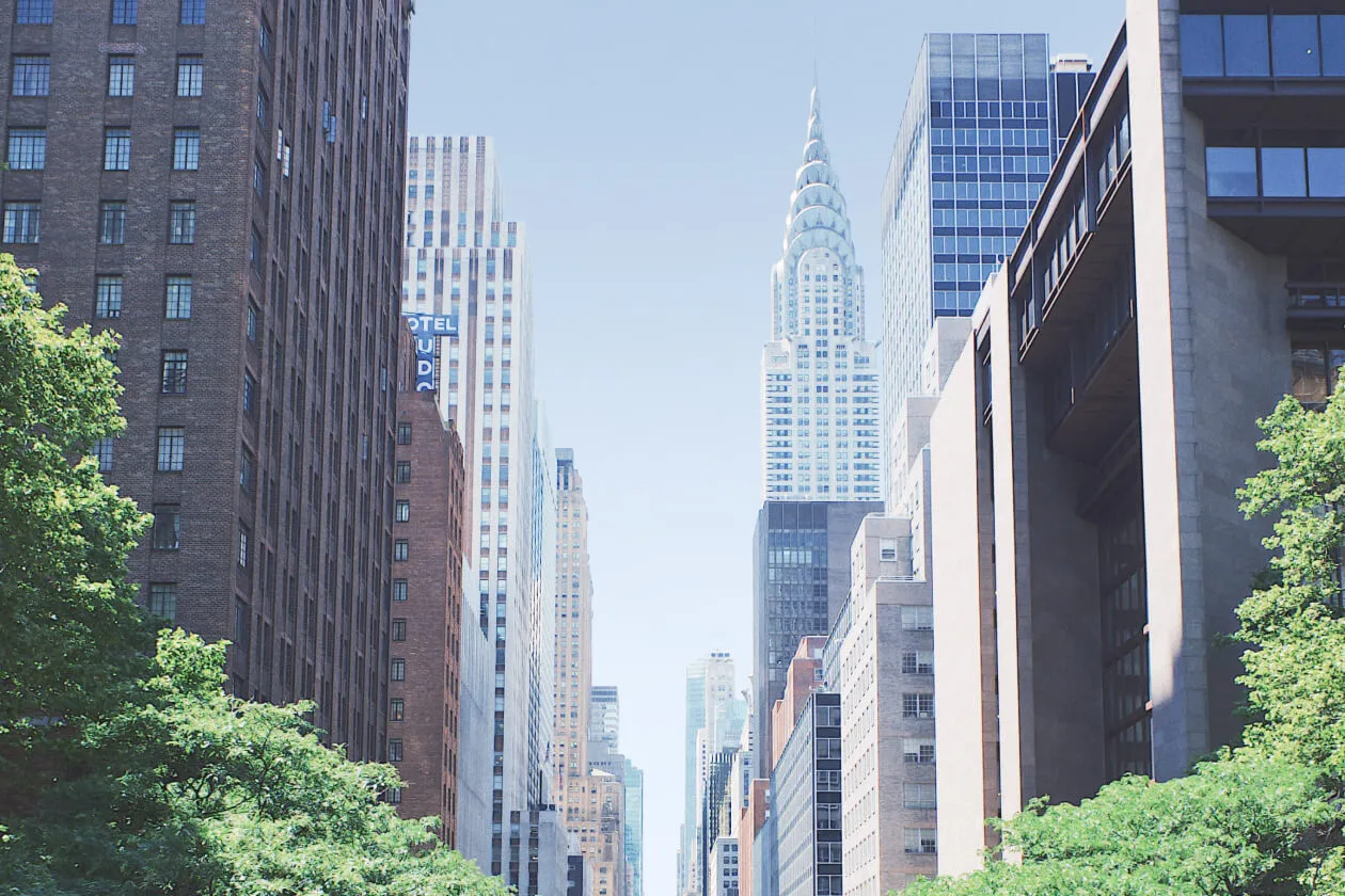 Unsplash License Image - LocalListing X Webflow Template