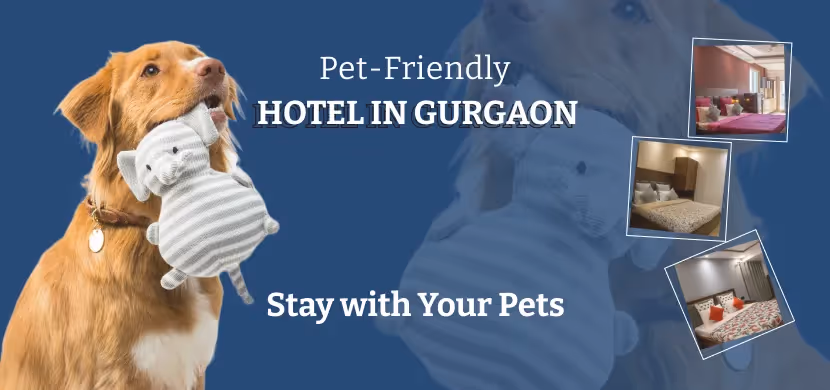 Pet-Friendly Hotels in Gurgaon | Stay with Your Pets