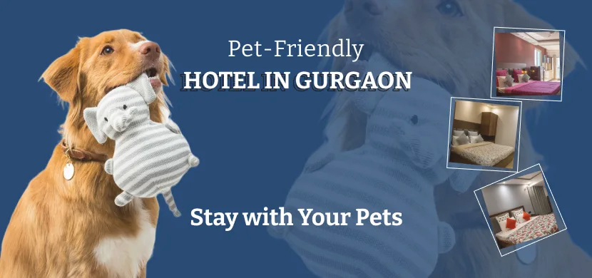 Pet-Friendly Hotels in Gurgaon | Stay with Your Pets