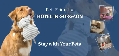 Pet-Friendly Hotels in Gurgaon | Stay with Your Pets