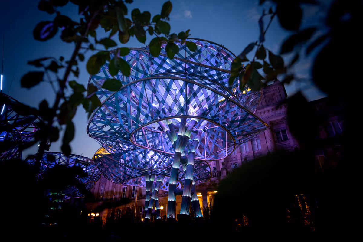 Image of the PoliNation tree