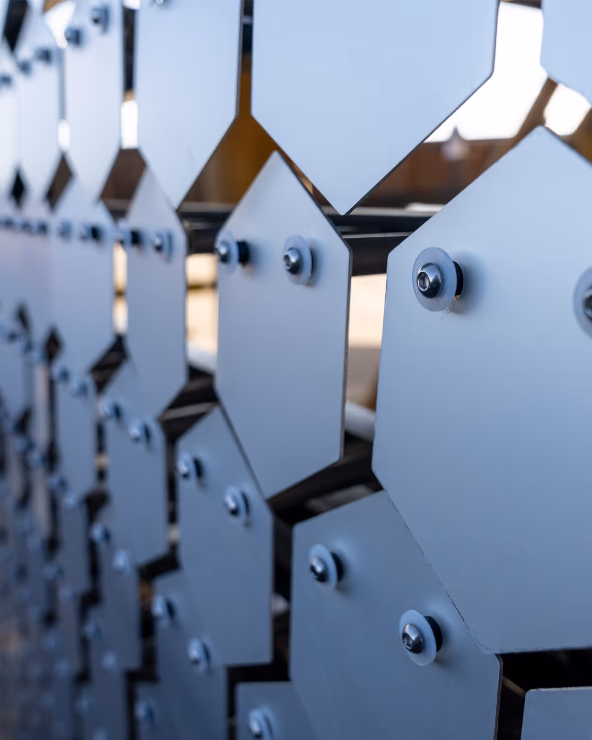 Image of See Monster scales
