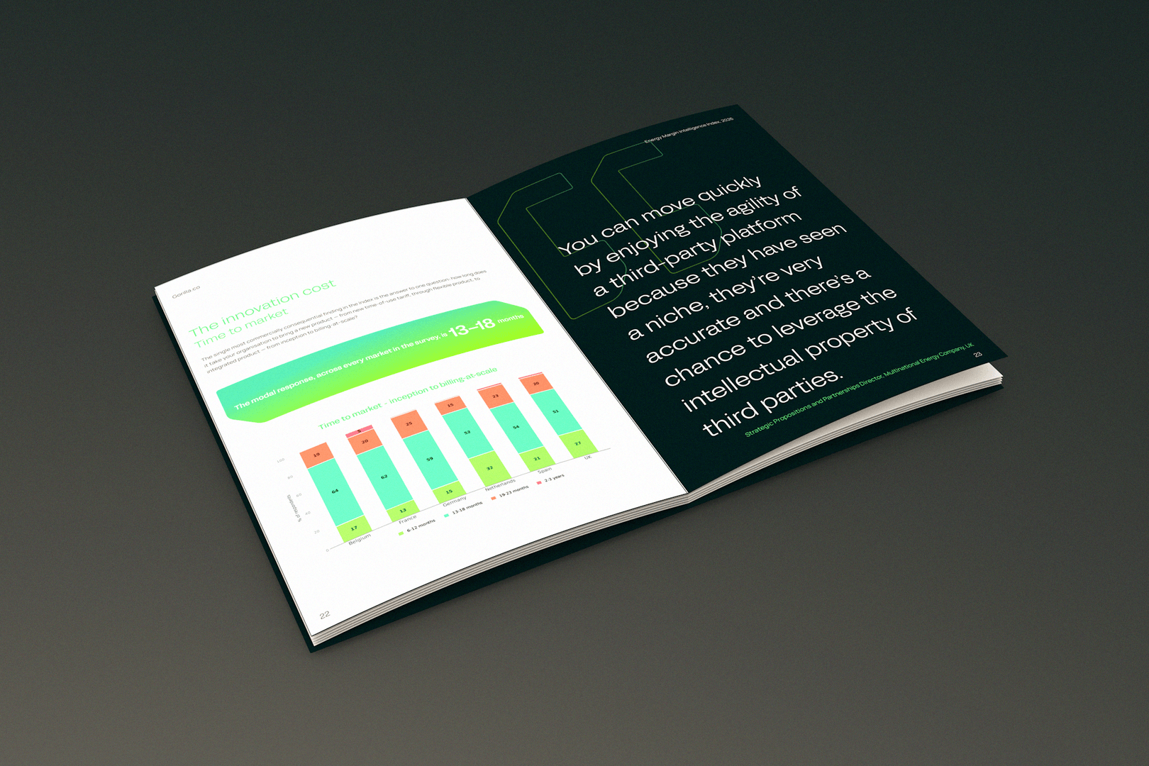 EMI Index report pages
