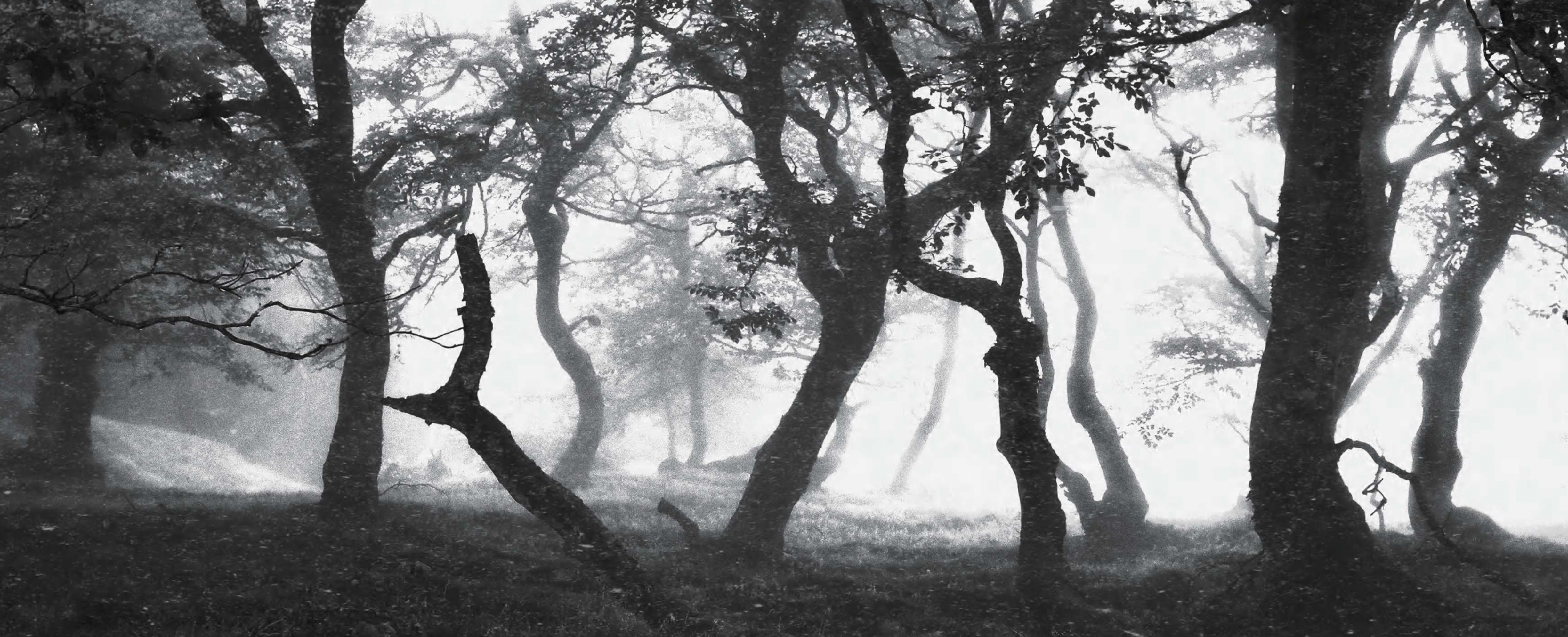 Zesheng Li: In the Mist, Landscape Approaches Mysticism