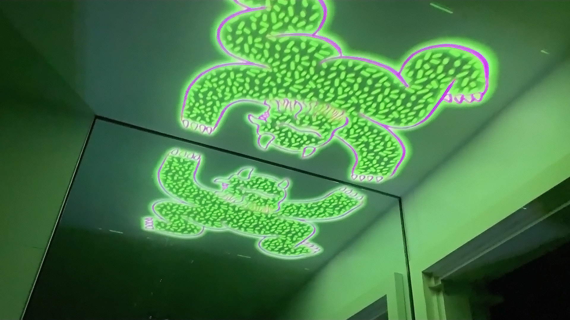 A Retrospective of Fang Liu (Summer)'s Curatorial Practice