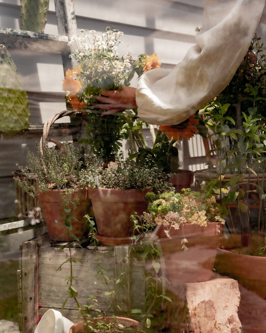 • 2027 /april - Kruiden & Planten : ontdek de kracht van de natuur met Herboriste Martine Van Huffel