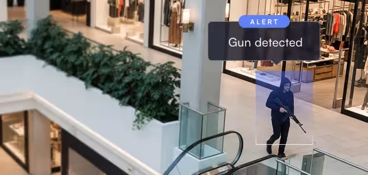 Gun detection with Lumana