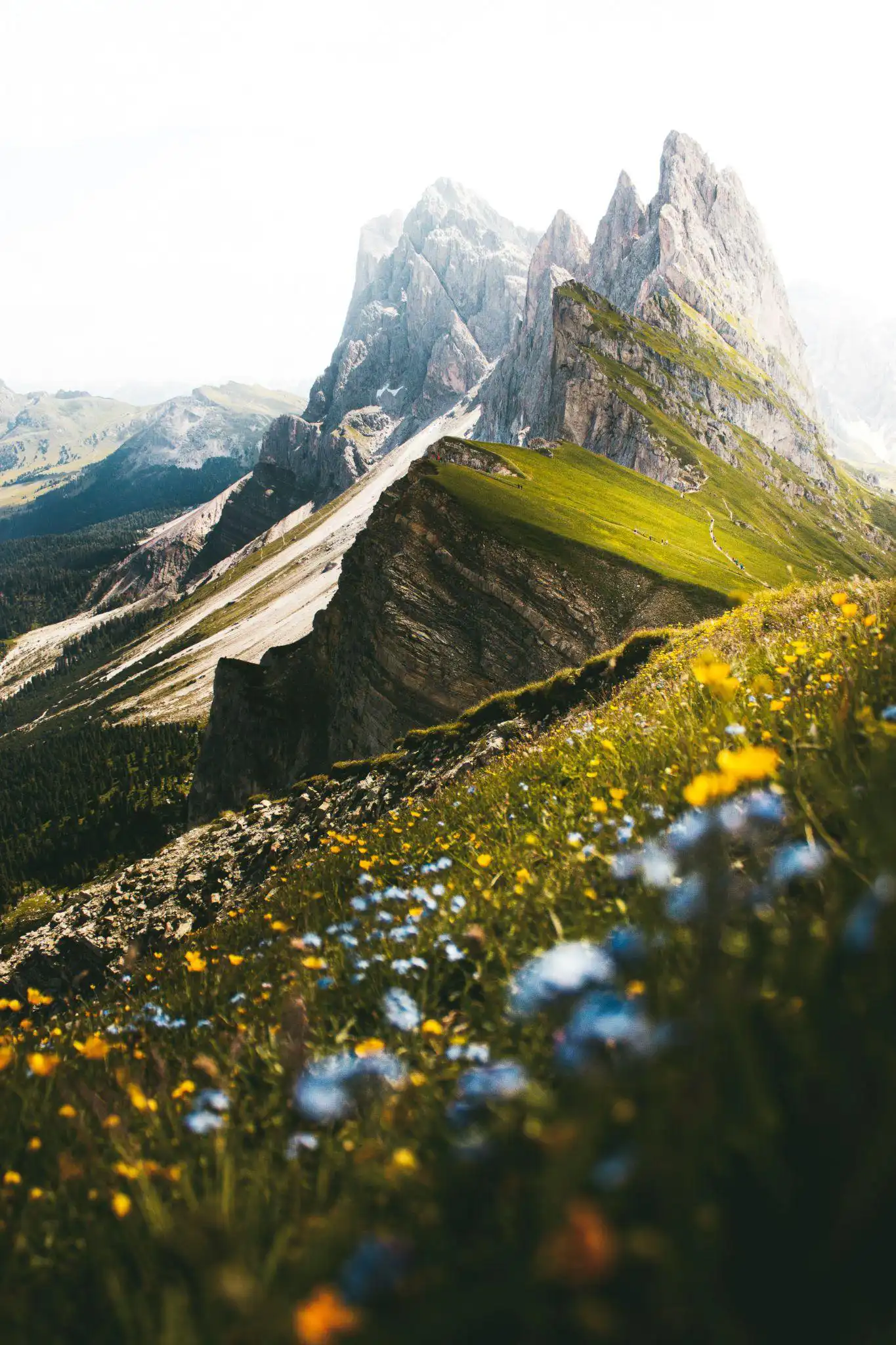 Come for the Skiing, Stay for the Summers