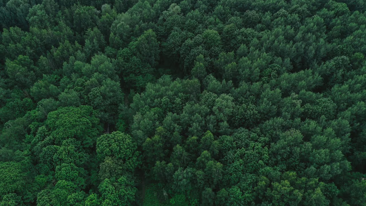 CardByte is Eco Friendly