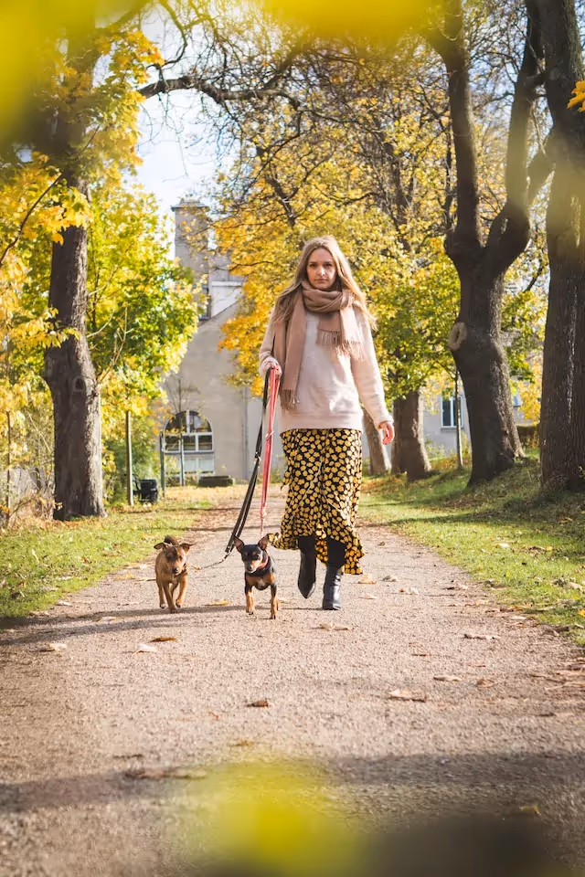 Foto van wandelende vrouw met twee kleine hondjes