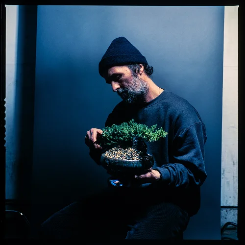 Man with a beard wearing a black beanie and dark sweater sits against a blue-gray background, carefully tending to a small bonsai tree in a black pot filled with pebbles.