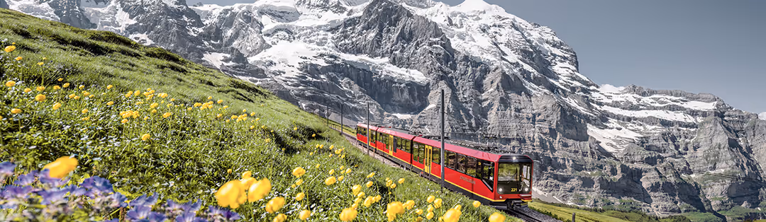 Railway in the Jungfrau region 
