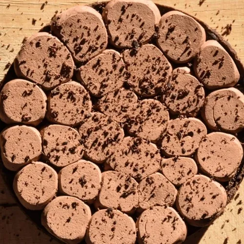 Réalisation membre Voila Chef