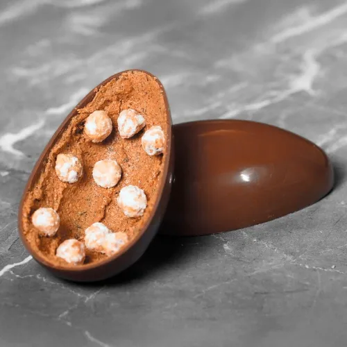 Shiny chocolate egg with hazelnuts