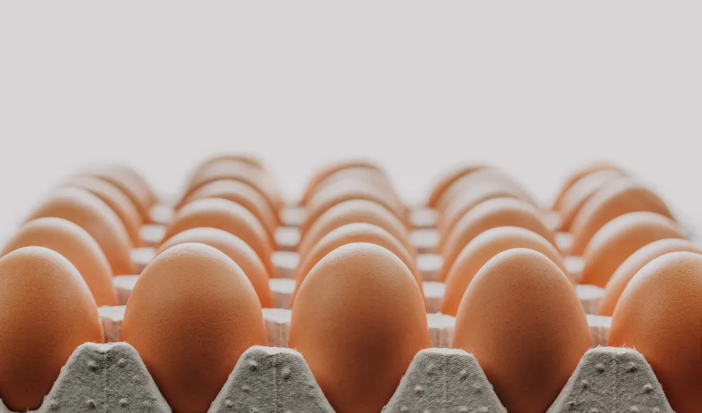 propriétés de l’œuf