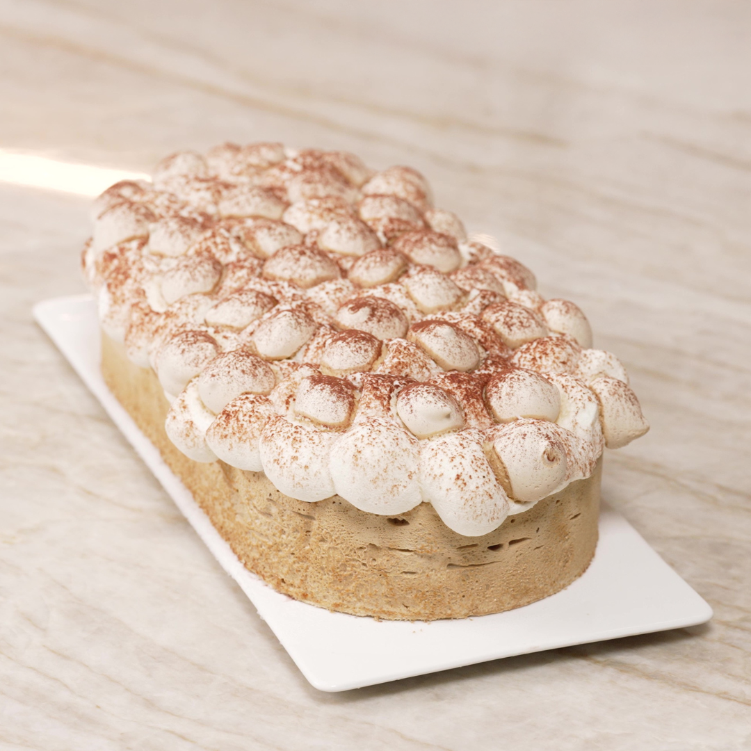 Tiramisu-style frozen yule log