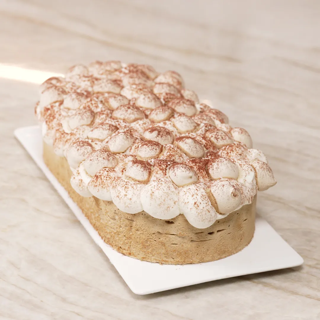 Tiramisu-style frozen yule log