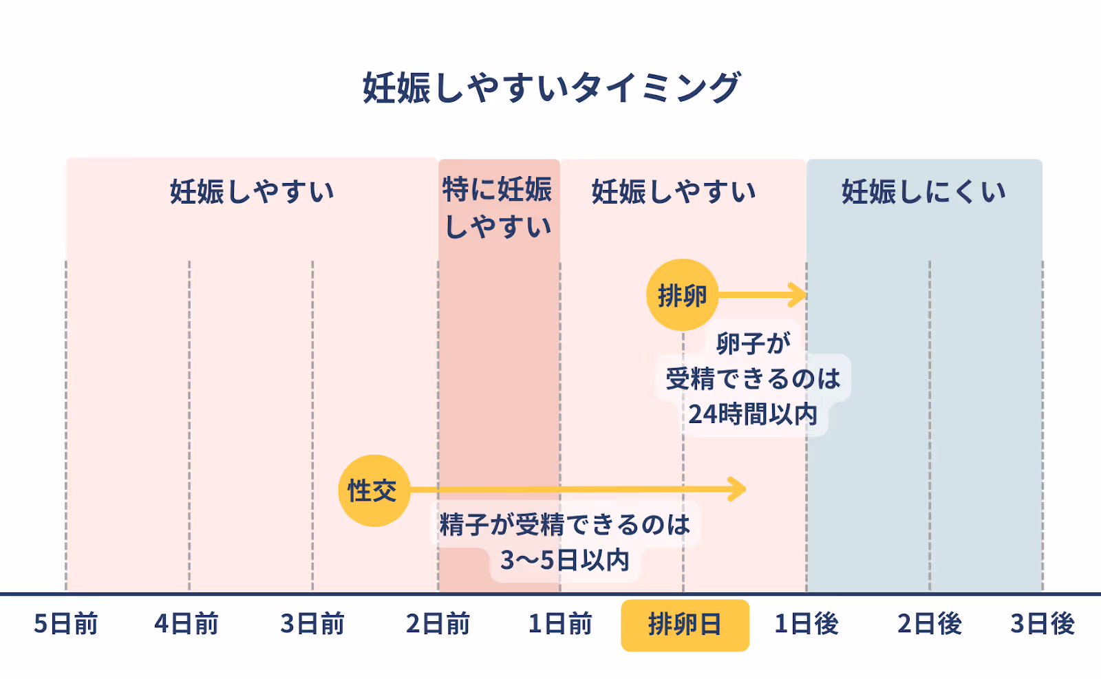 妊娠しやすいタイミング