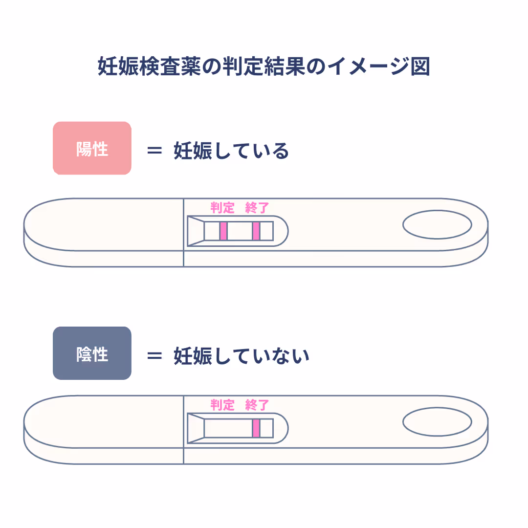 妊娠検査薬の判定結果のイメージ図